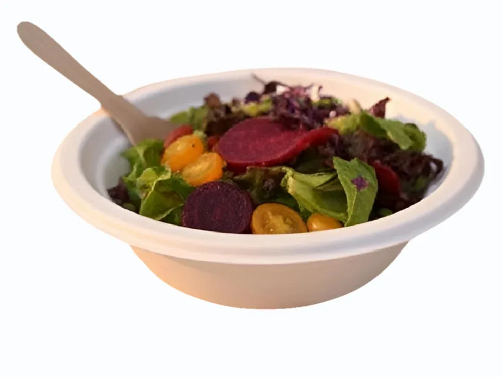 Bagasse Products