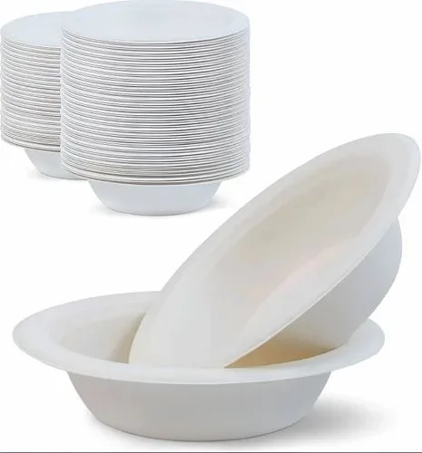 Bagasse bowl