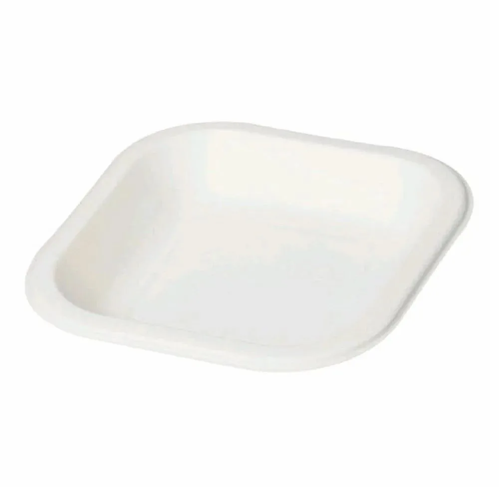 6 inch Square Bagasse Disposable Plate
