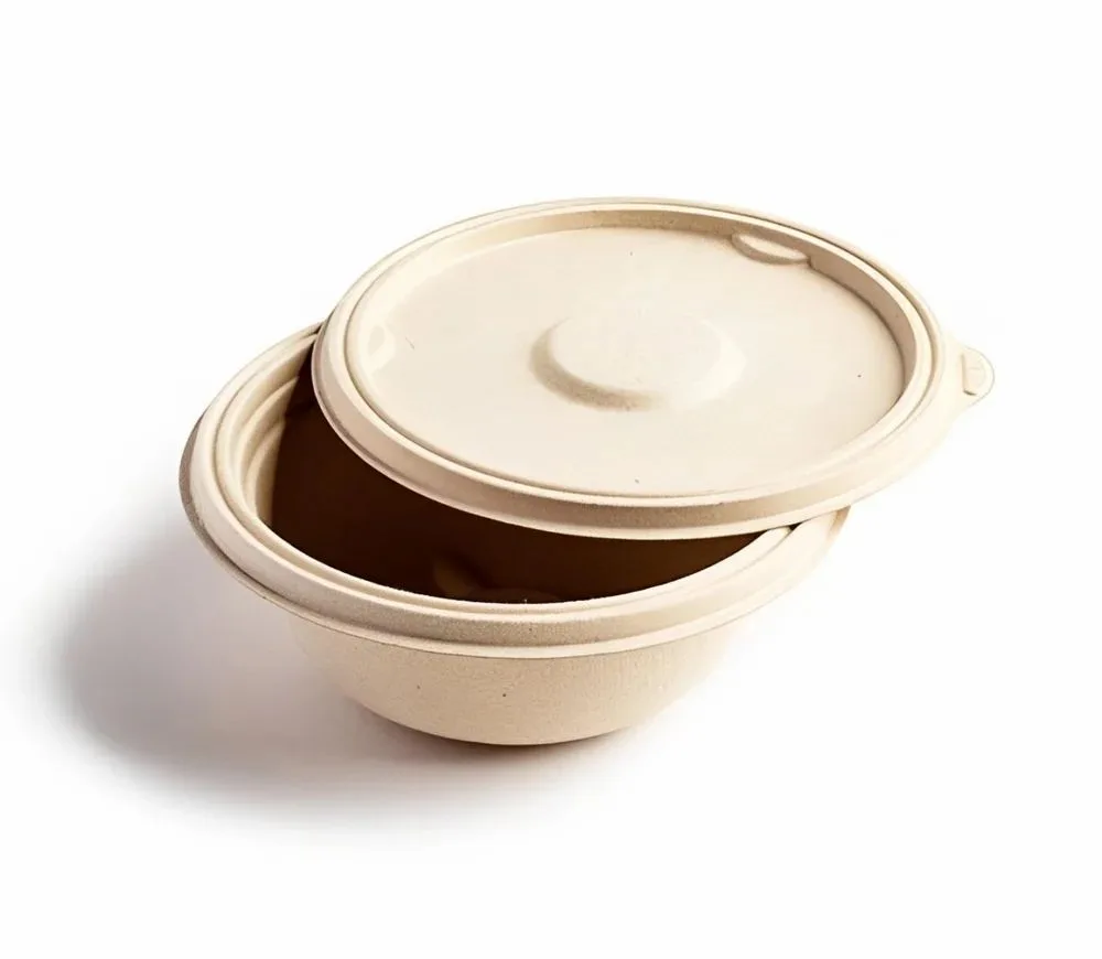 Bagasse takeaway container with lid