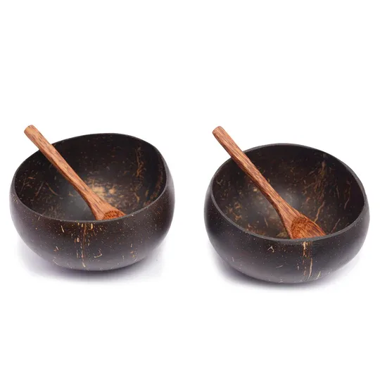 Coconut Shell Bowl Set