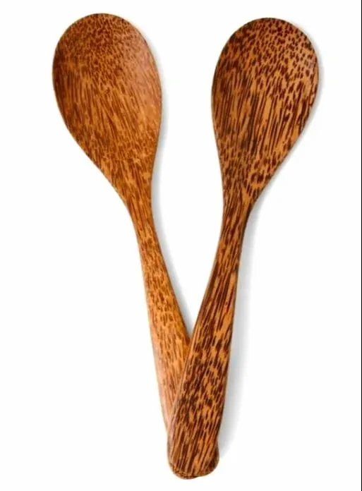Coconut Shell Spoon Set